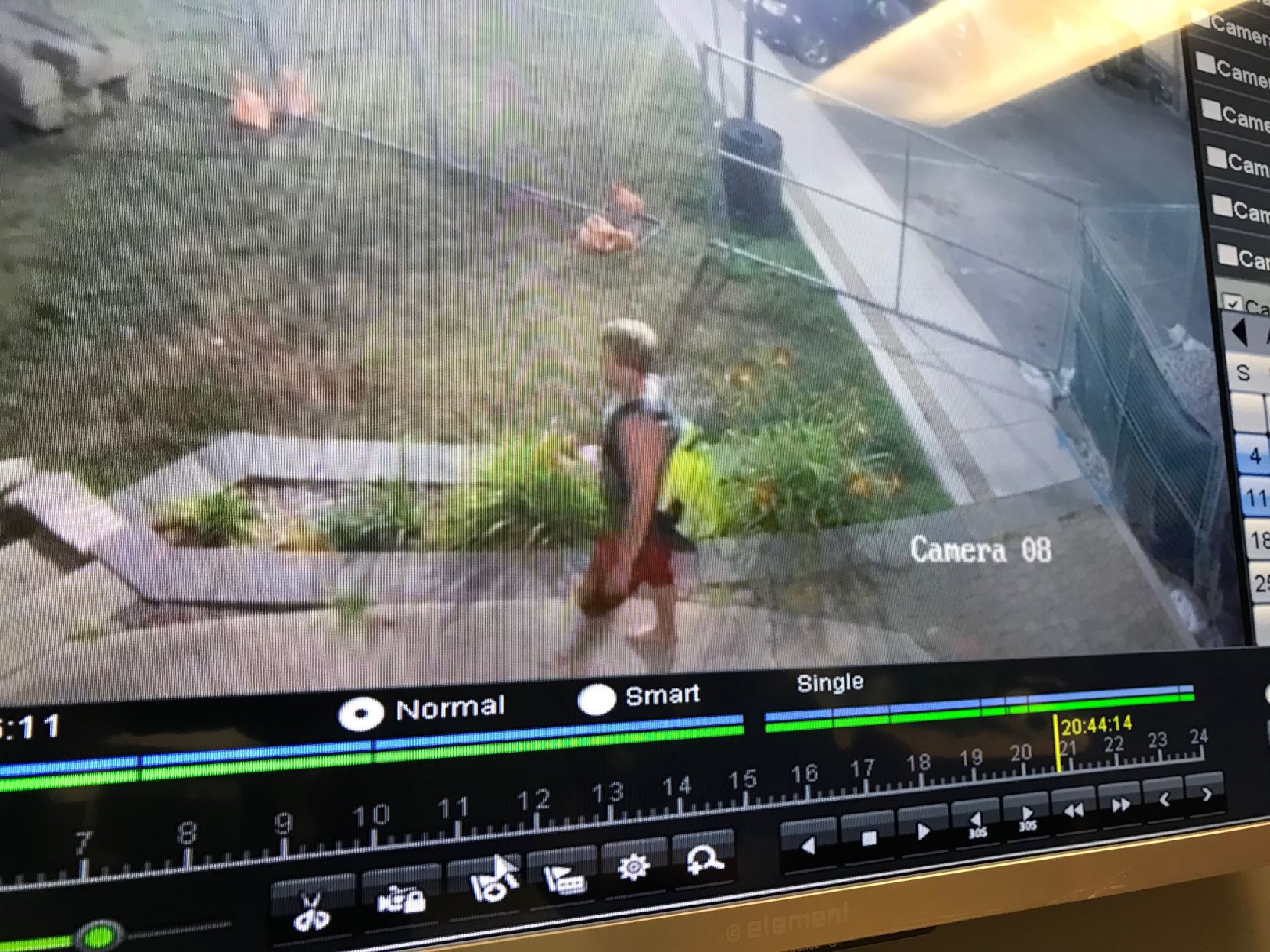 Vandalism suspect